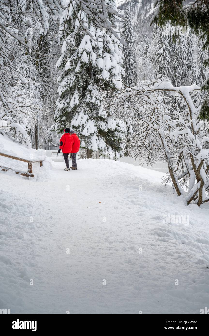 Inverno neve a Fusine. Magia del lago inferiore. Foto Stock