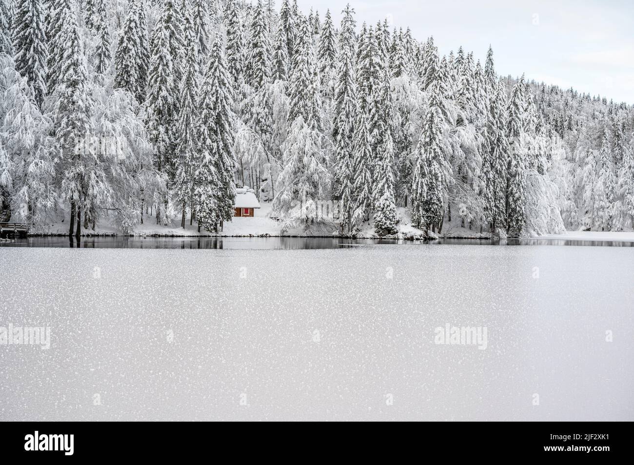 Inverno neve a Fusine. Magia del lago inferiore. Foto Stock