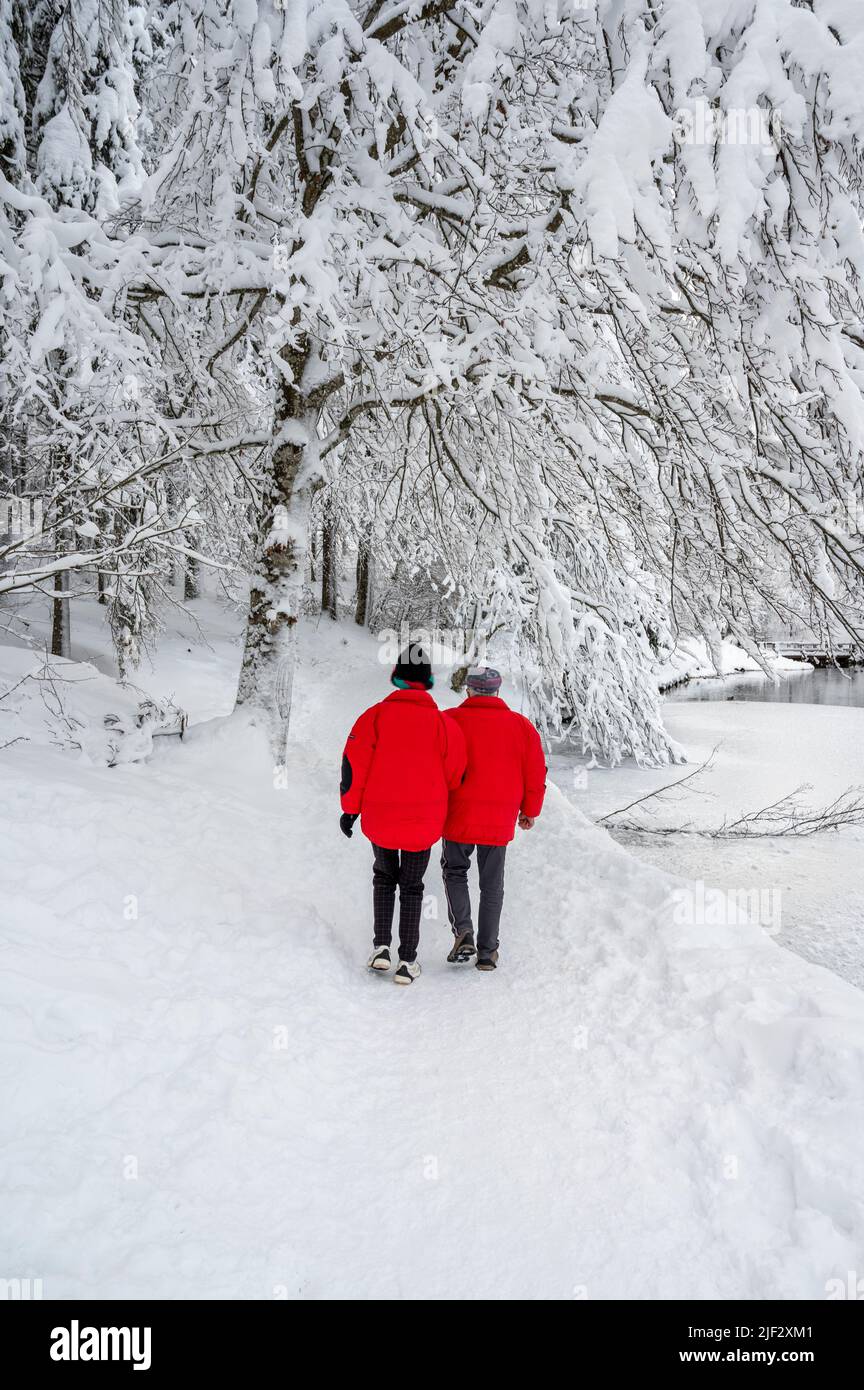 Inverno neve a Fusine. Magia del lago inferiore. Foto Stock
