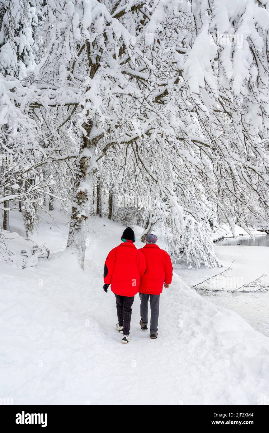 Inverno neve a Fusine. Magia del lago inferiore. Foto Stock