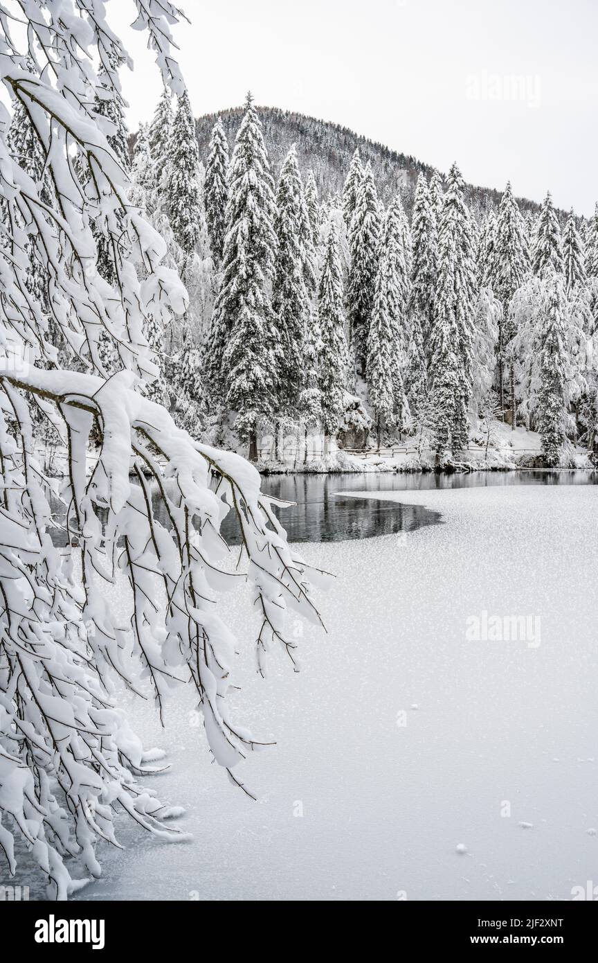 Inverno neve a Fusine. Magia del lago inferiore. Foto Stock