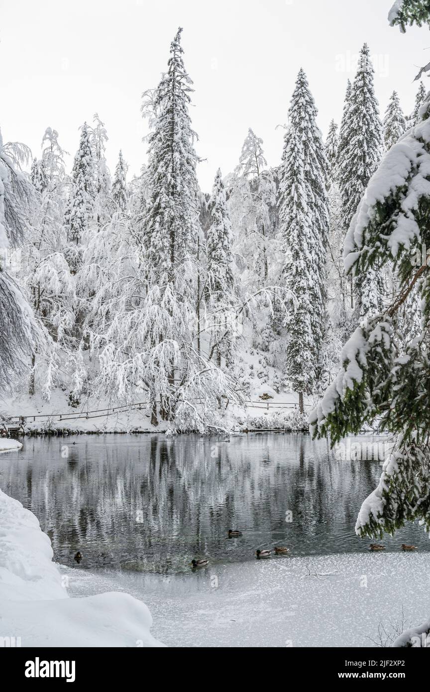 Inverno neve a Fusine. Magia del lago inferiore. Foto Stock