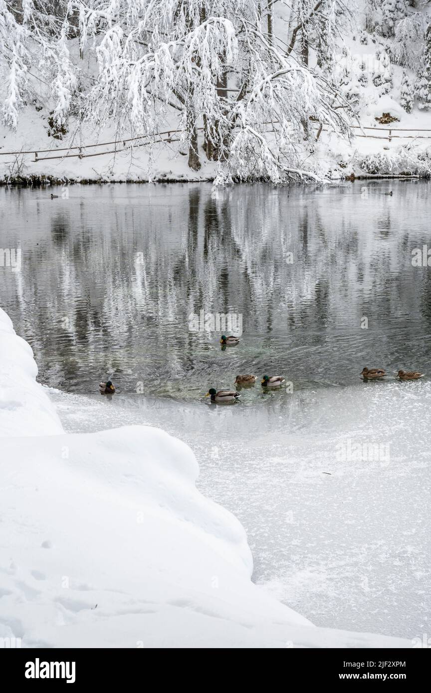 Inverno neve a Fusine. Magia del lago inferiore. Foto Stock