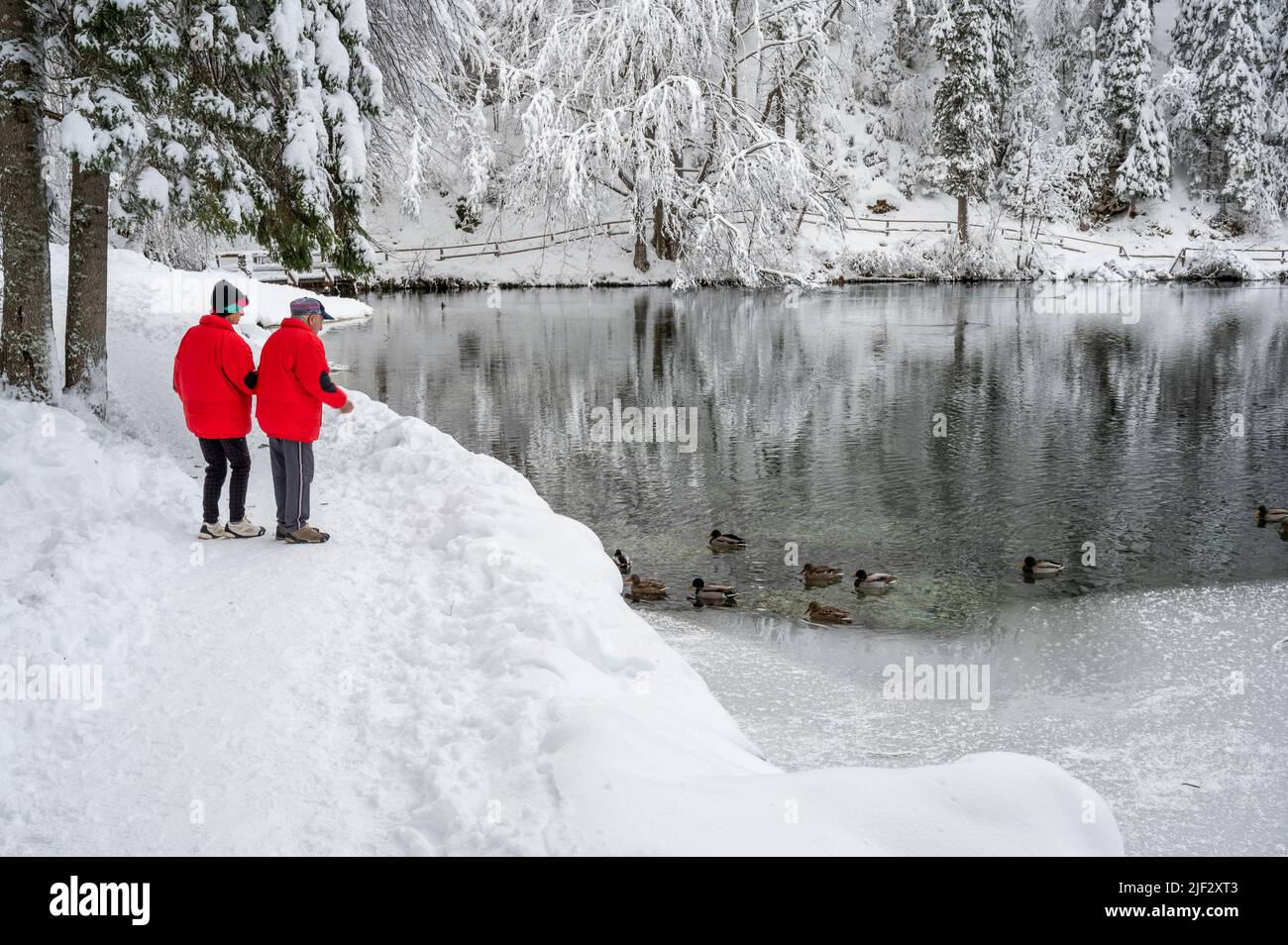 Inverno neve a Fusine. Magia del lago inferiore. Foto Stock