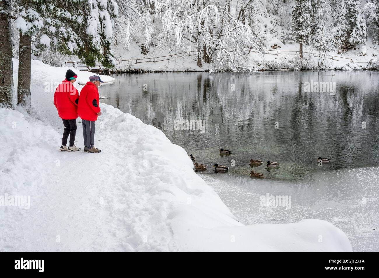 Inverno neve a Fusine. Magia del lago inferiore. Foto Stock