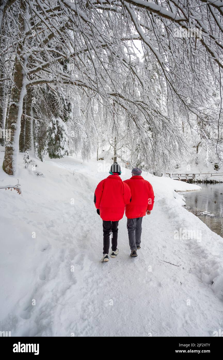 Inverno neve a Fusine. Magia del lago inferiore. Foto Stock