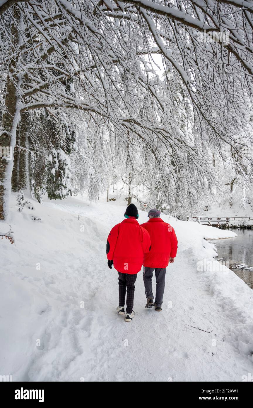 Inverno neve a Fusine. Magia del lago inferiore. Foto Stock