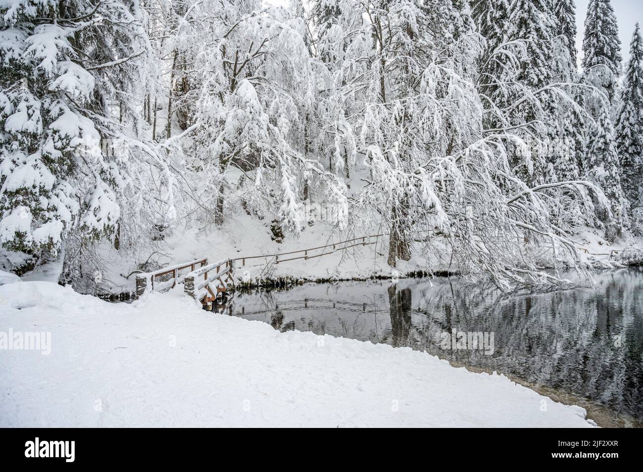 Inverno neve a Fusine. Magia del lago inferiore. Foto Stock