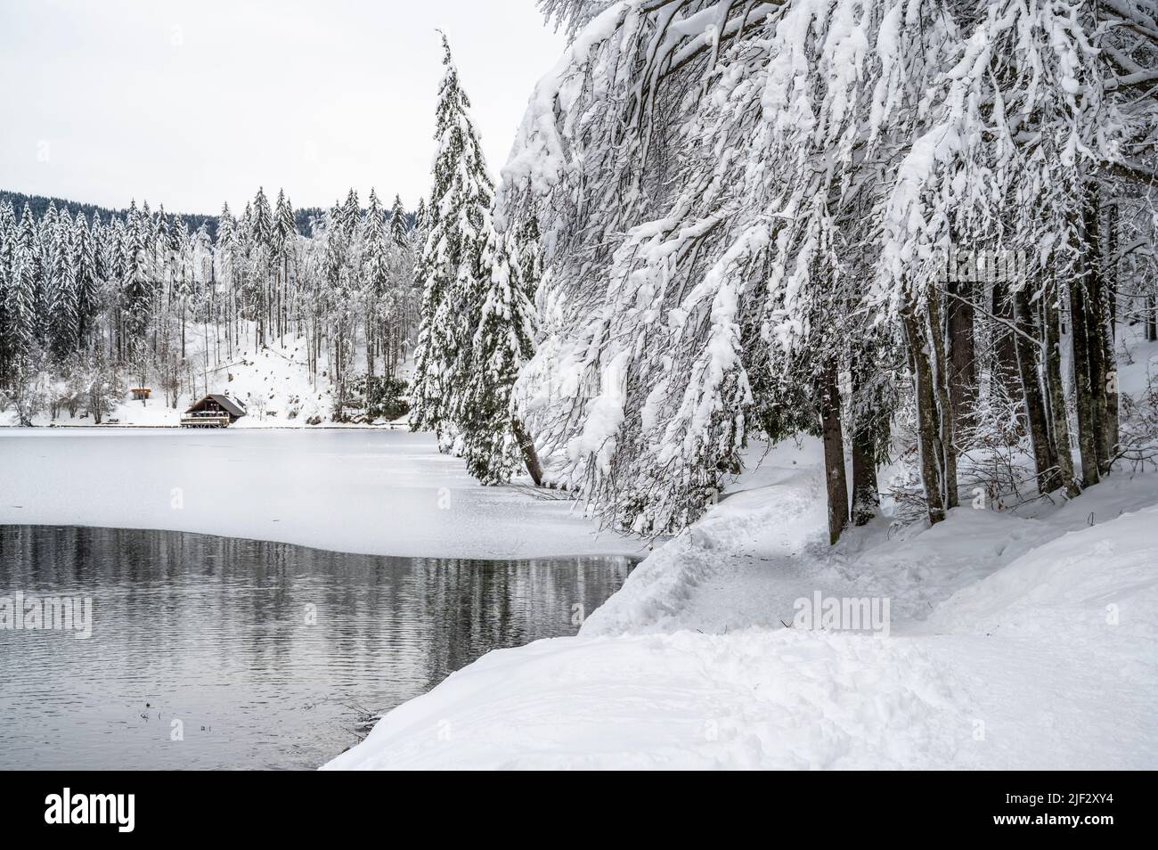 Inverno neve a Fusine. Magia del lago inferiore. Foto Stock