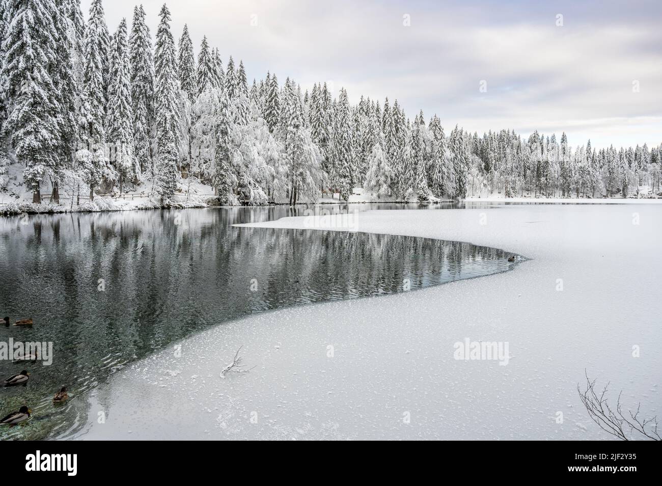 Inverno neve a Fusine. Magia del lago inferiore. Foto Stock