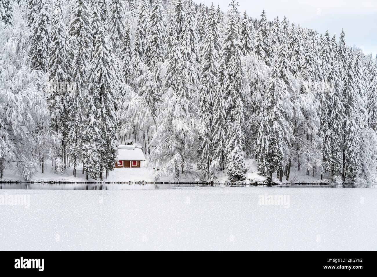 Inverno neve a Fusine. Magia del lago inferiore. Foto Stock