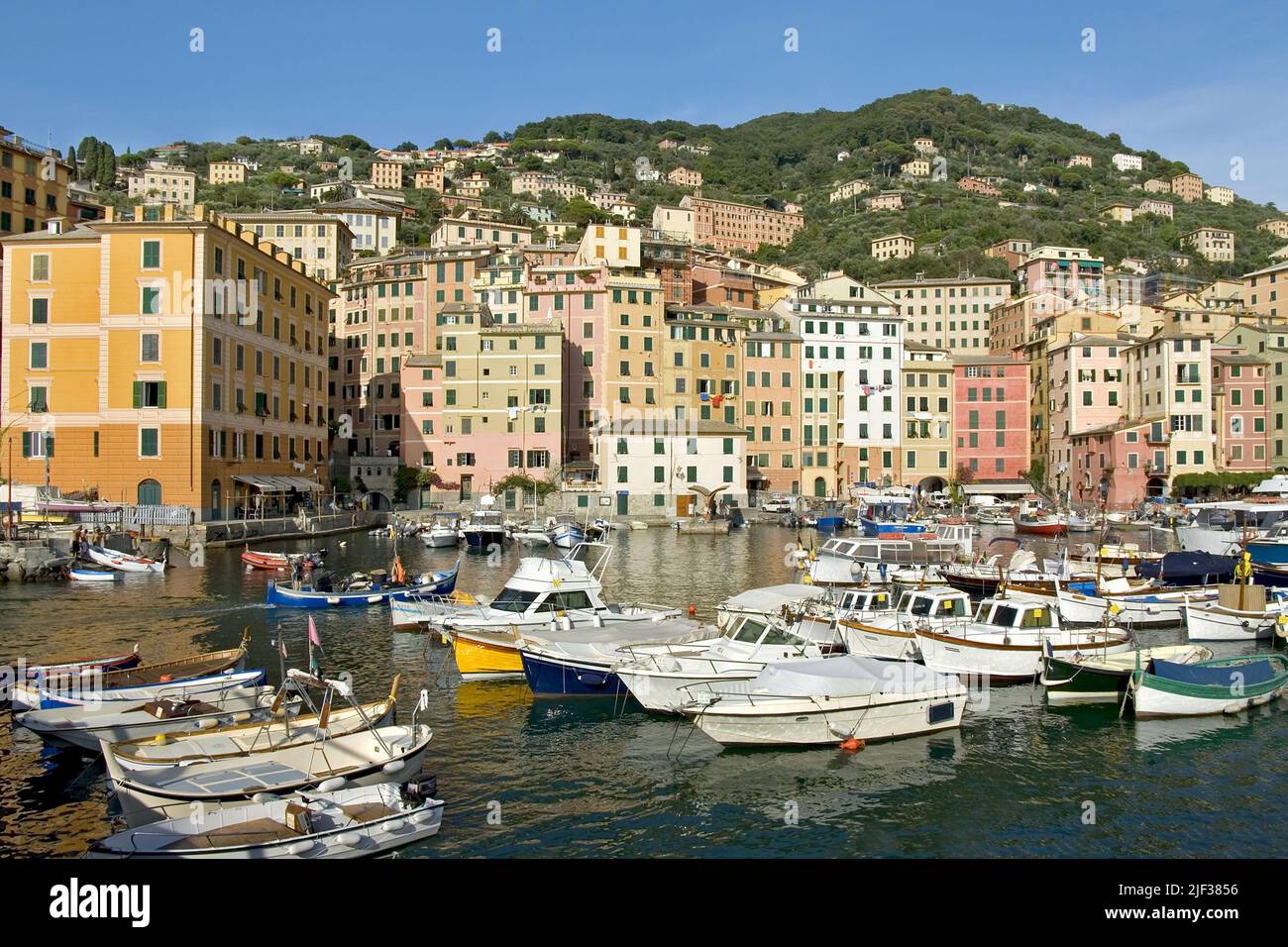 Blick ueber den Hafen von Camogli an der ligurischen Kueste, Italia, Liguria, Camogli Foto Stock
