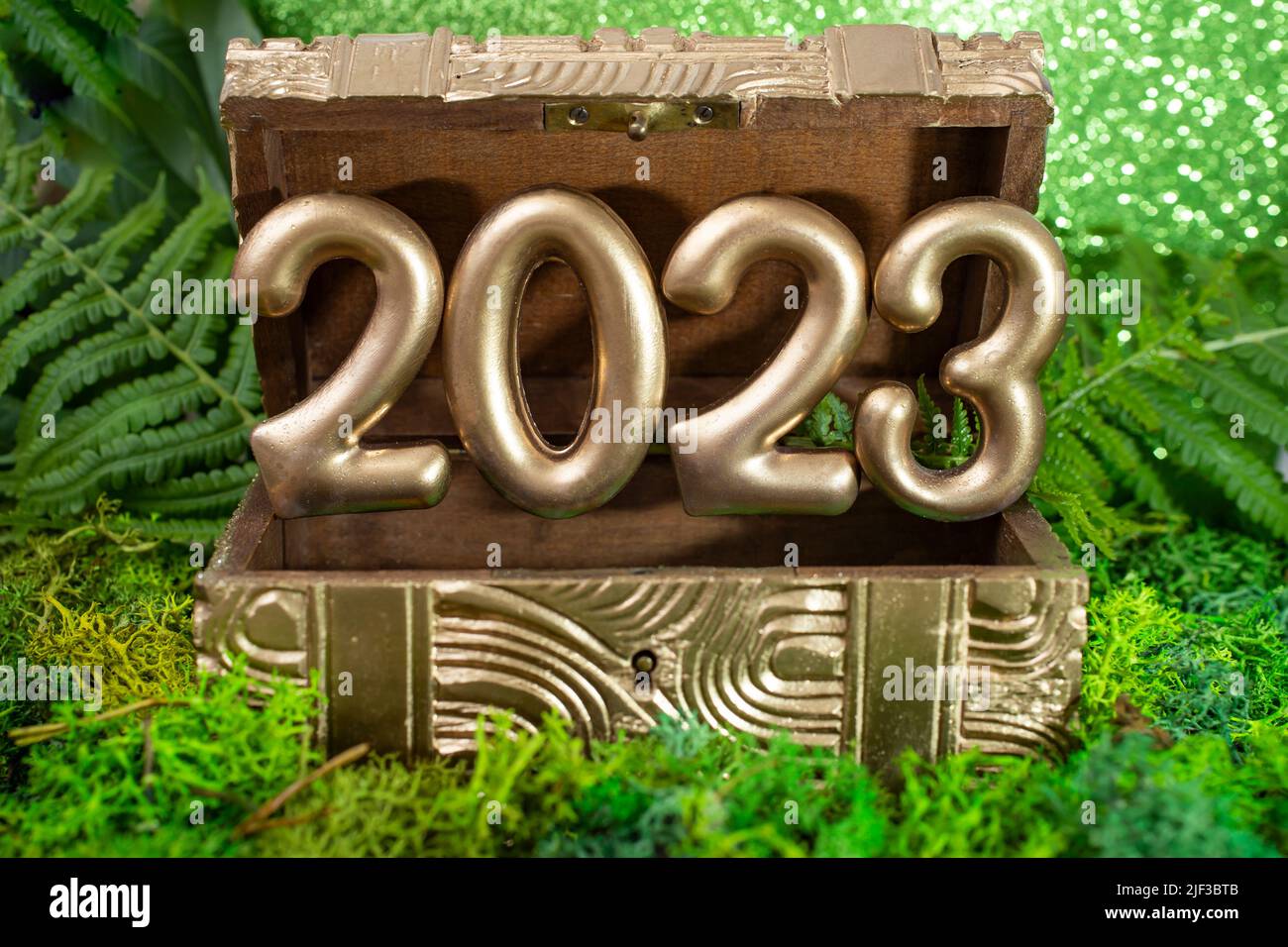 2023 numeri d'oro che emergono da una cassa del tesoro dipinta d'oro su composizione verde con muschio, felce e glitter. Fotografia di studio di un nuovo anno indietro Foto Stock