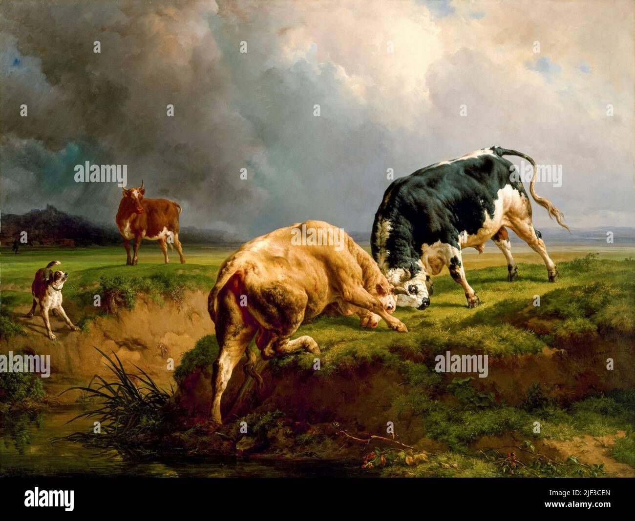 Jacques Raymond Brascassat, pittura, un toro lotta, olio su tela, 1855 Foto Stock