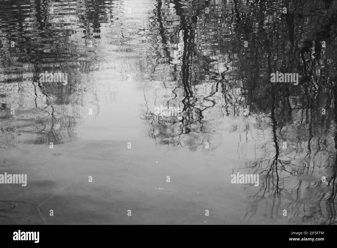 Gli alberi estivi riflettono sulle ondate ondulate della superficie dello stagno in bianco e nero. Foto Stock
