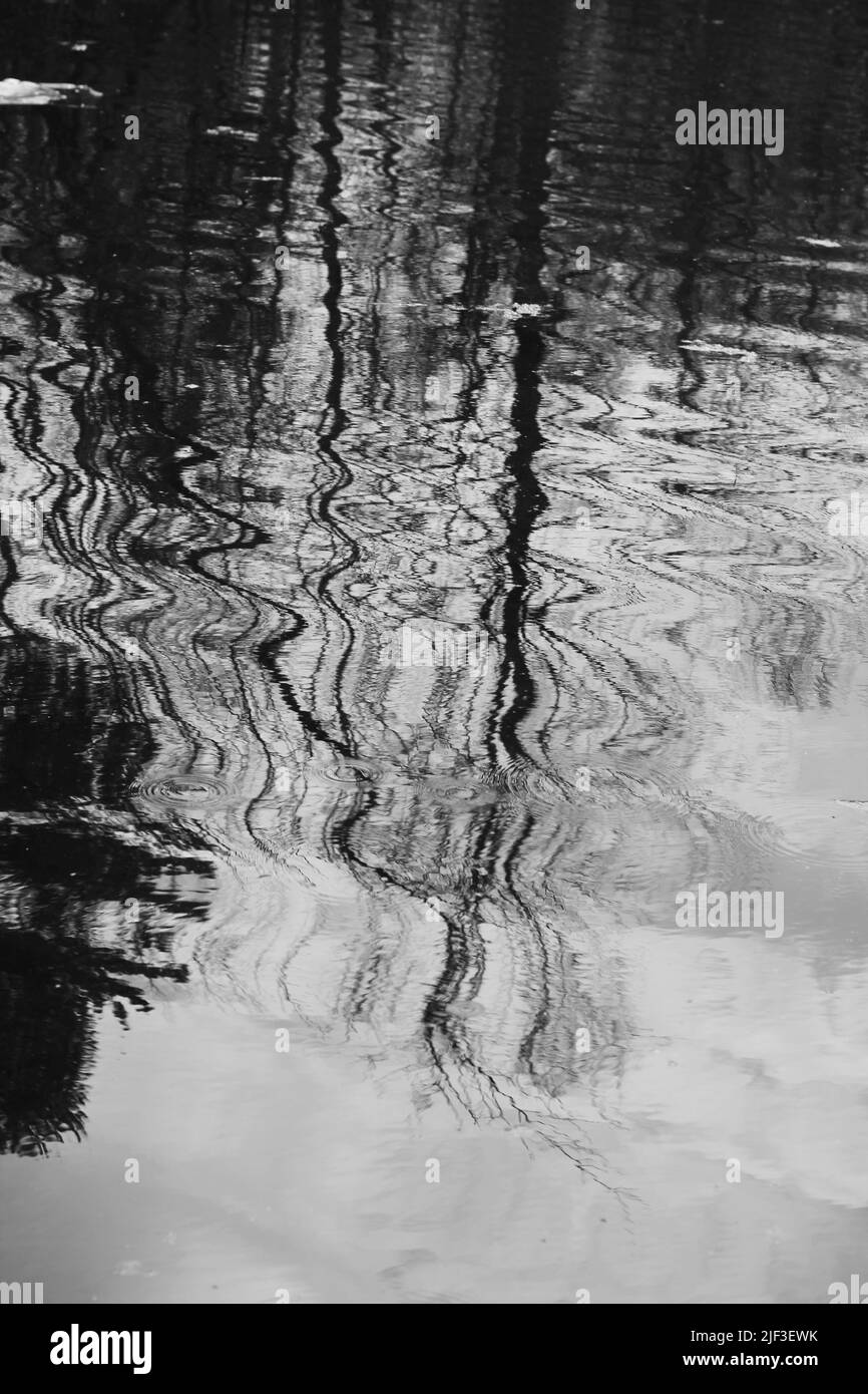 Gli alberi estivi riflettono sulle ondate ondulate della superficie dello stagno in bianco e nero. Foto Stock