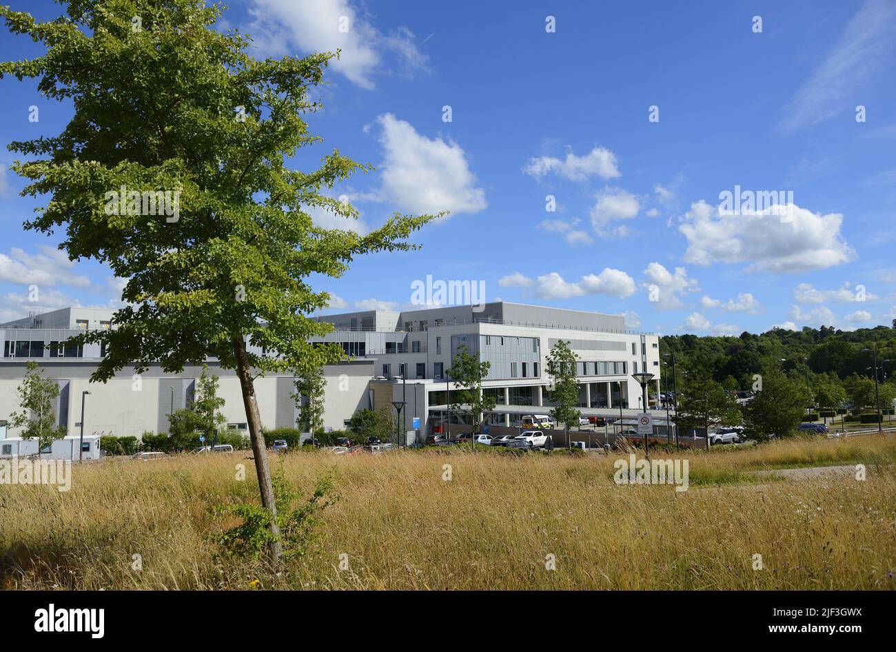 Tunbridge Wells Hospital, Pembury, vicino a Royal Tunbridge Wells, Kent, Regno Unito. Parte del Maidstone e Tunbridge Wells NHS Trust Foto Stock