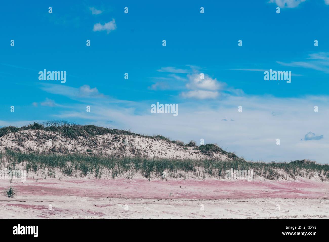 Giorno di sole bellissima spiaggia con dune di sabbia paesaggio Foto Stock