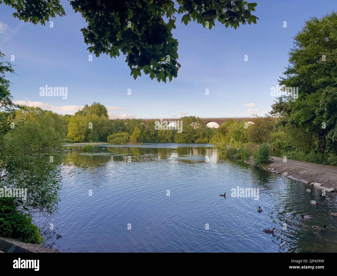 Laghetto di pesca di pale rossastre con viadotto sullo sfondo, parco nazionale di pale rossastra, Stockport, Regno Unito. Foto Stock