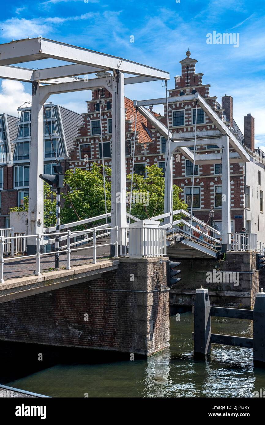 Sul lato del canale che vive nella bella città di Haarlem, ad ovest di Amsterdam nei Paesi Bassi. Foto Stock