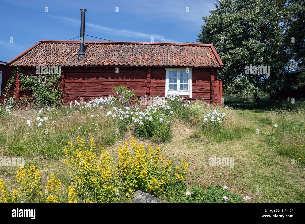 casa in legno molto vecchia, dipinta di rosso falu. Ramsta husby oppunda sörmland svezia Foto Stock