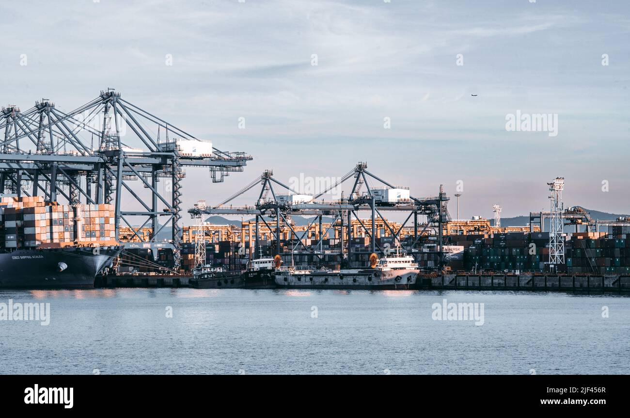 La vista del porto con navi portacontainer. Foto Stock