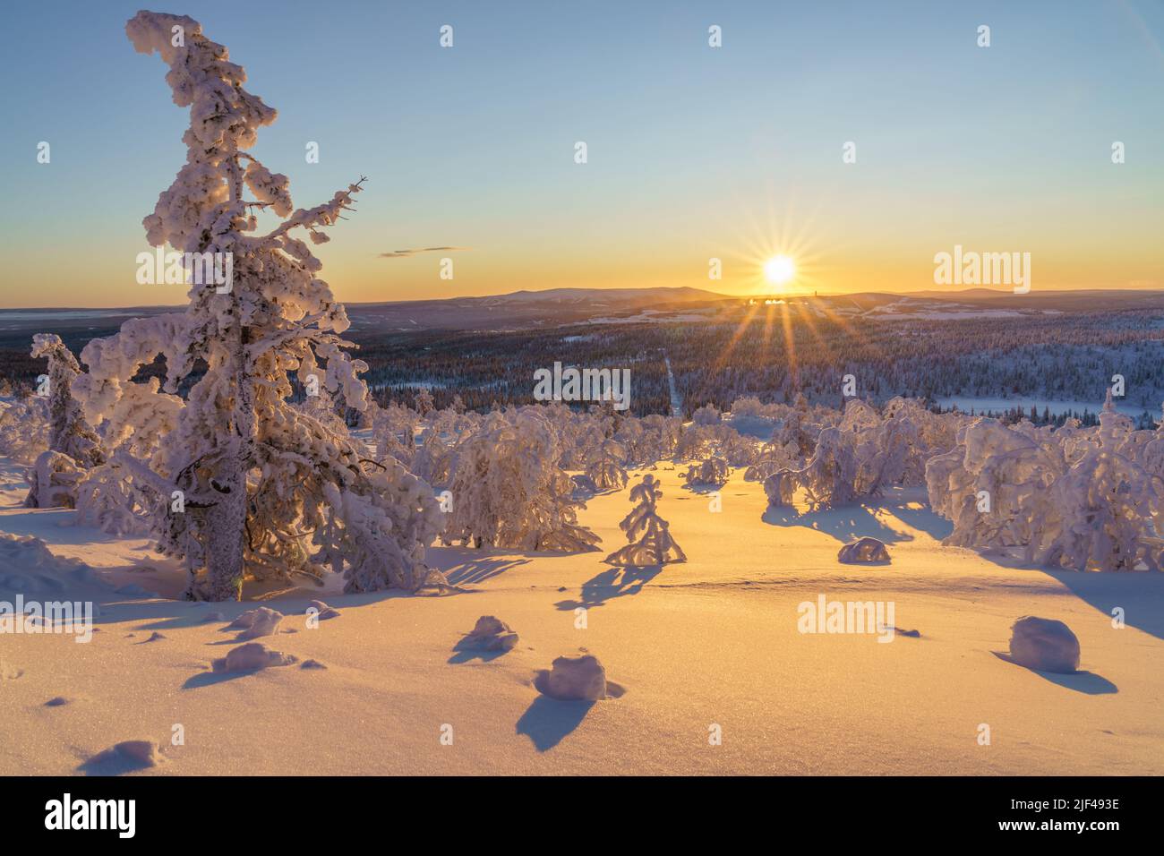Paesaggio invernale al tramonto con alberi nevosi, cielo colorato e luce diretta, contea di Gällivare, Lapponia svedese, Svezia Foto Stock