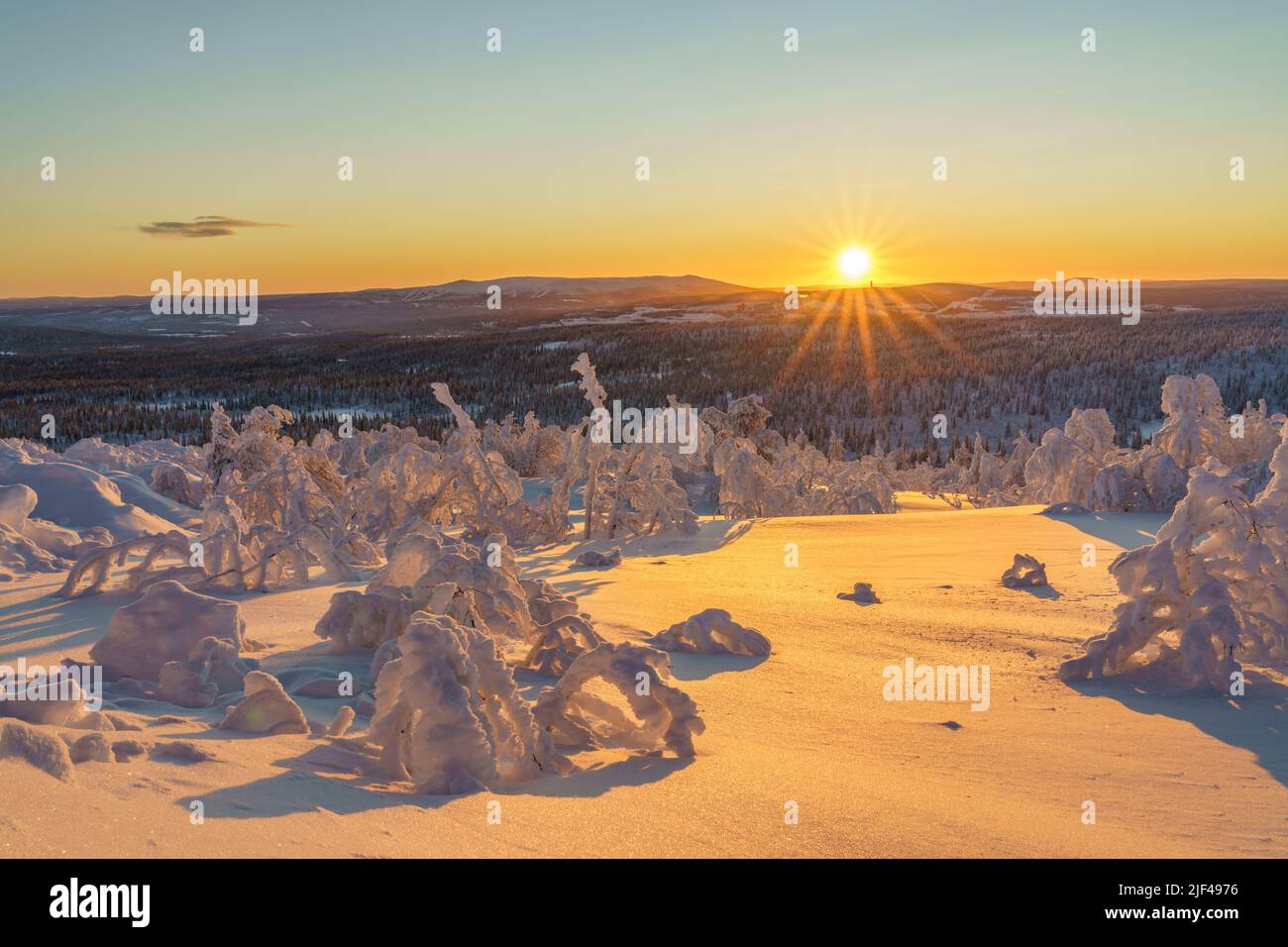 Paesaggio invernale al tramonto con alberi nevosi, cielo colorato e luce diretta, contea di Gällivare, Lapponia svedese, Svezia Foto Stock