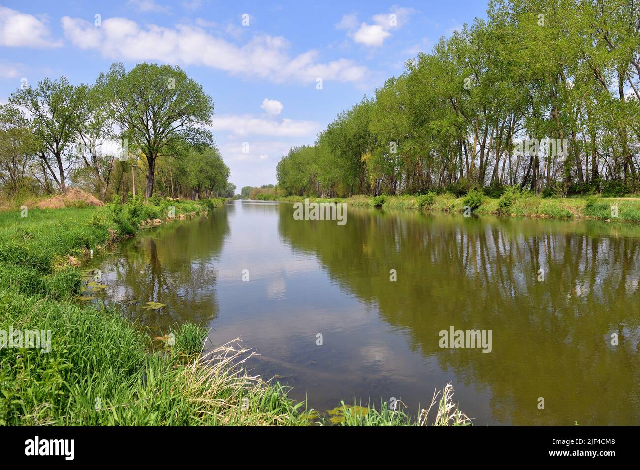 Annawan, Illinois, Stati Uniti. L'acqua del canale Hennepin riflette gli alberi lungo le sue rive mentre scorre attraverso una sezione rurale dell'Illinois nord-occidentale. Foto Stock