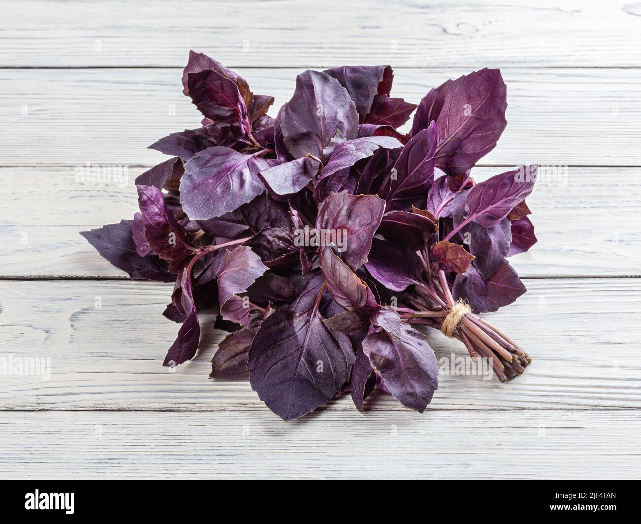 Foglie di basilico viola fresco su sfondo bianco di legno Foto Stock
