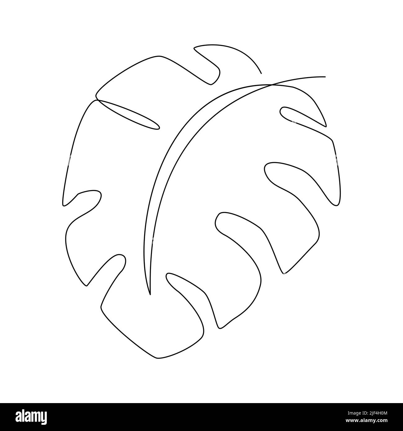 Disegno di una linea delle foglie di palma tropicali. Illustrazione vettoriale dell'arte. Illustrazione Vettoriale
