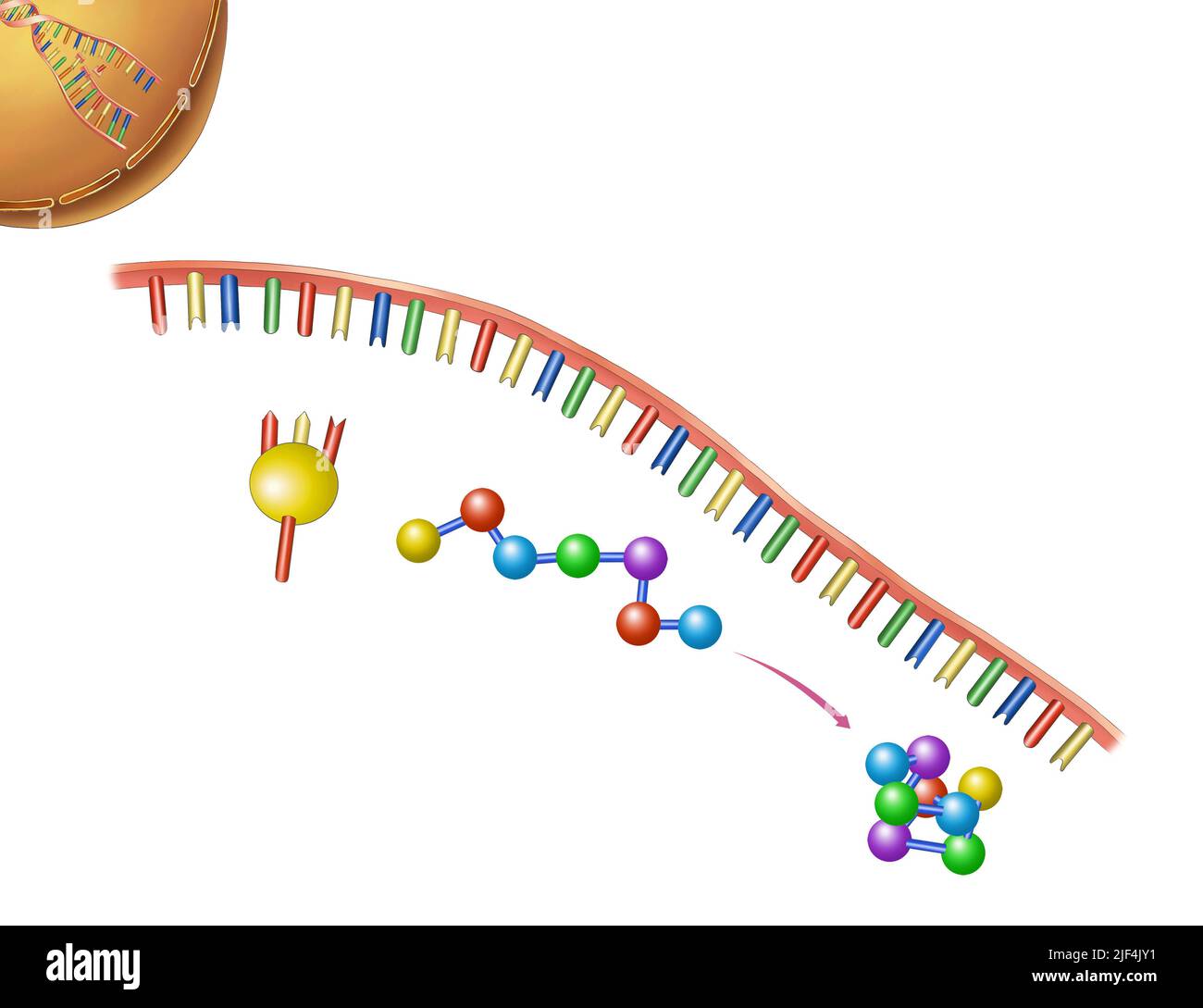 Illustrazione del DNA, geni delle scienze della vita Foto Stock