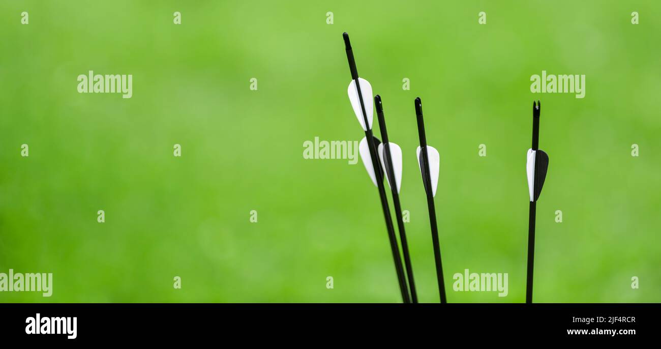 Frecce di tiro con l'arco su sfondo verde. Concetto sportivo professionale. Poster sportivo orizzontale, biglietti d'auguri, intestazioni, sito web Foto Stock