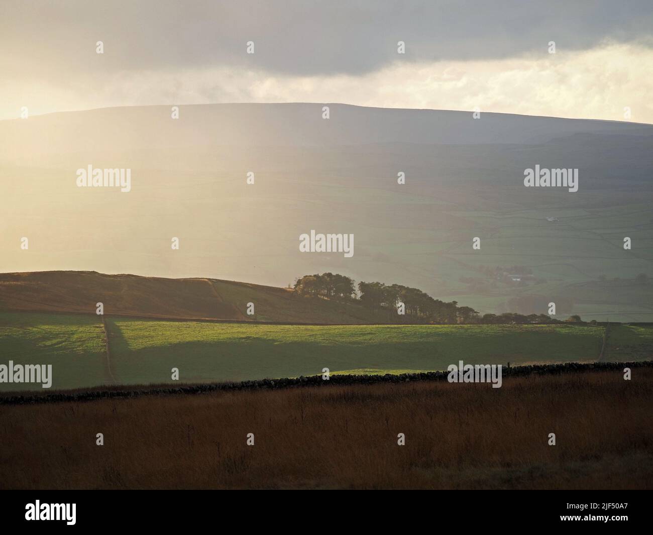 La luce del pomeriggio bassa sui campi verdi produce la vista atmosferica sulla Valle di Aire da Malham Moor, Yorkshire, Regno Unito Foto Stock