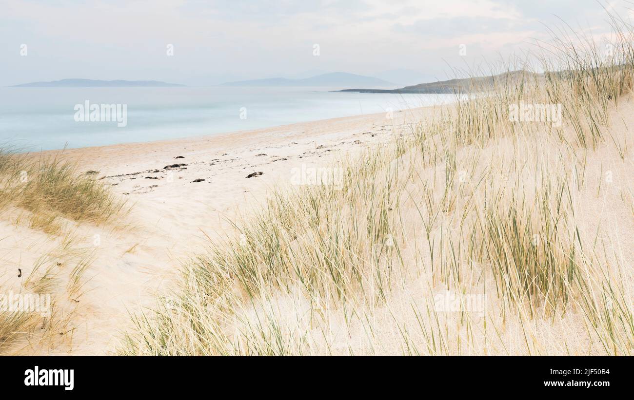 Erbe su Sgarasta Mohr, Harris, Ebridi esterne, Scozia Foto Stock