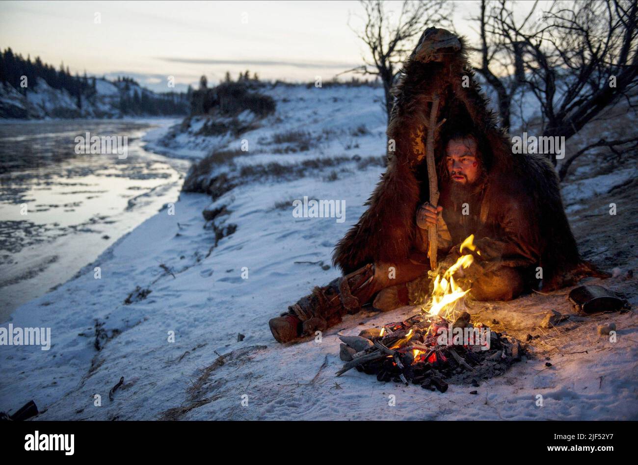 LEONARDO DICAPRIO, IL REVENANT, 2015 Foto Stock