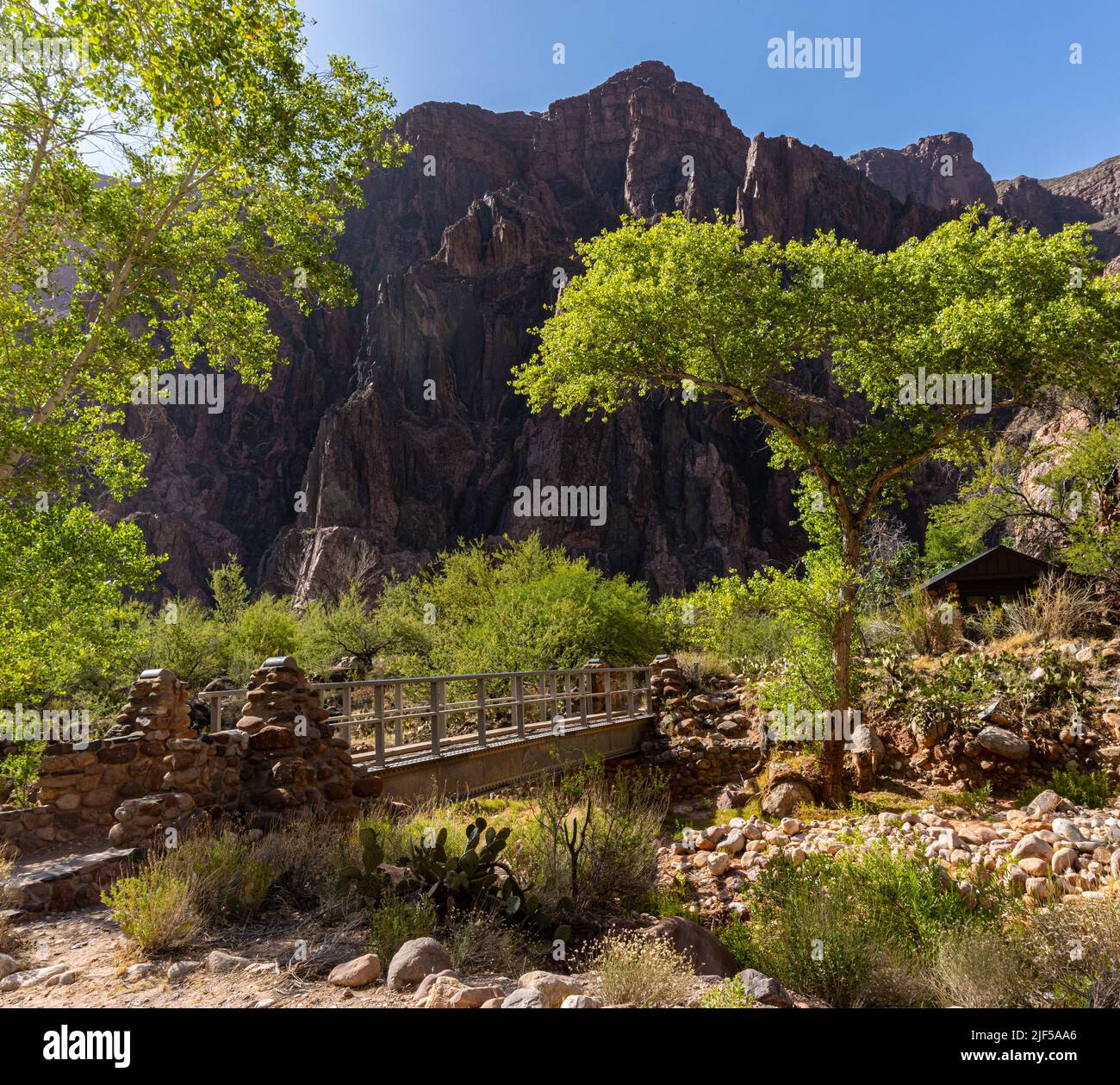 Ponte che attraversa Bright Angel Creek vicino al Phantom Ranch e conduce al South Kaibab Trail, al Grand Canyon National Park, Arizona, USA Foto Stock