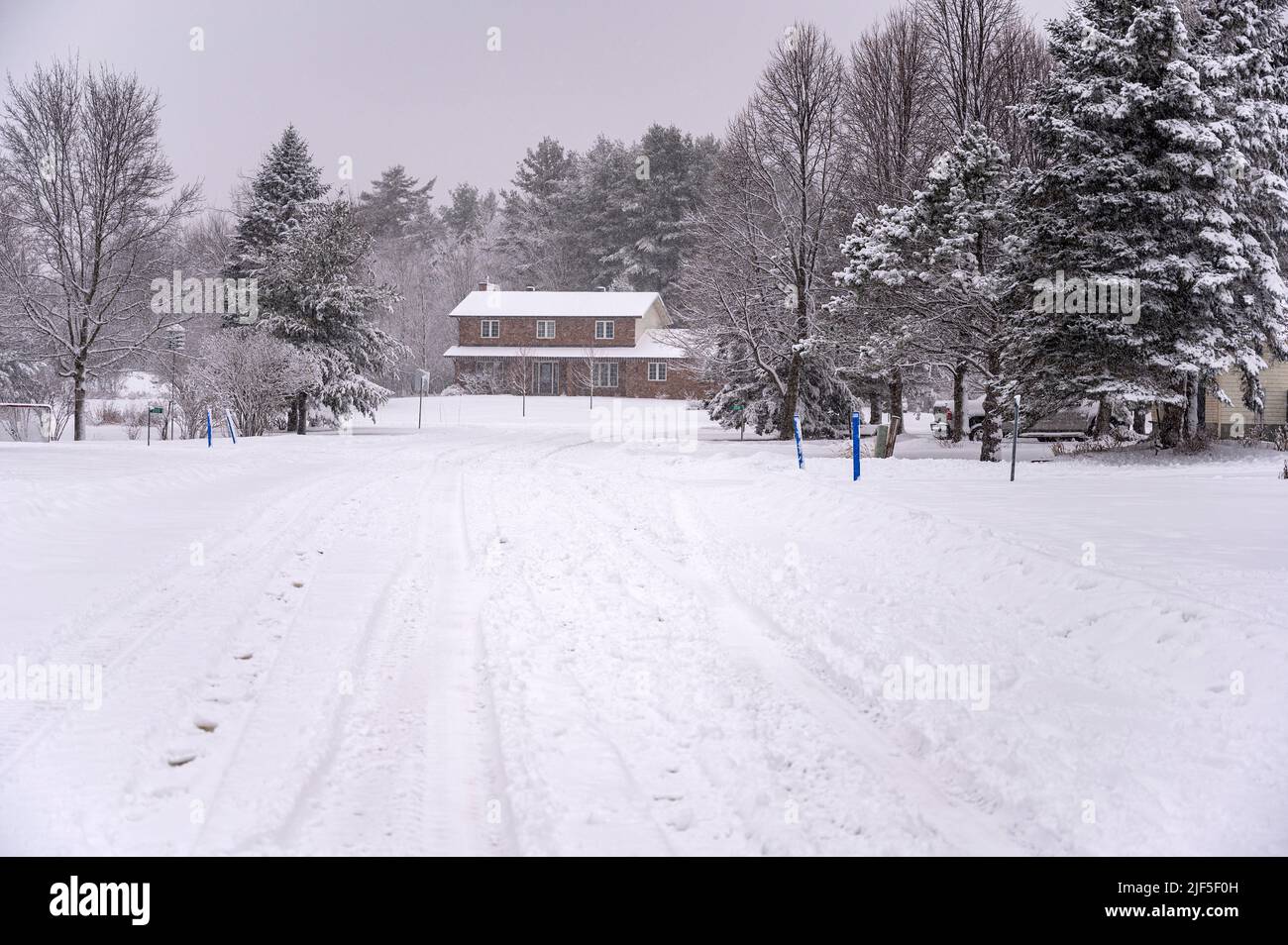Quartiere suburbano coperto di neve fresca caduta. Foto Stock