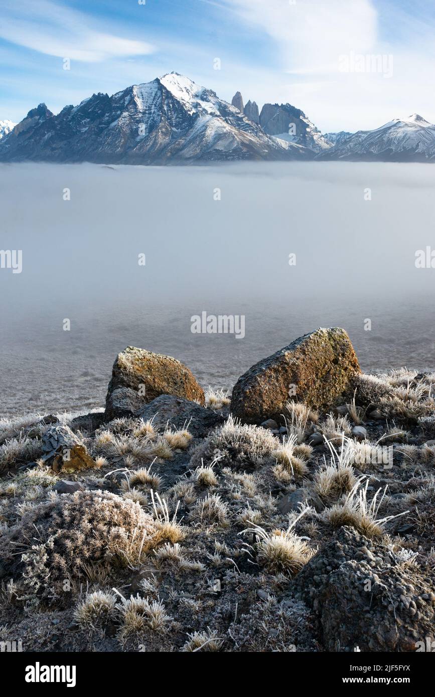 Paesaggio del Parco Nazionale Torres del Paine durante una giornata di nebbia Foto Stock