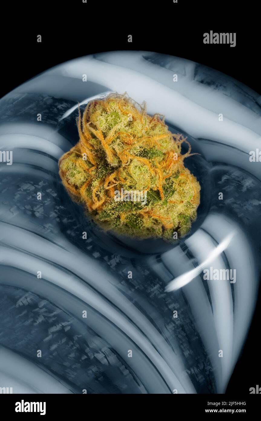 Fiore di cannabis in un tubo fumatore di vetro Foto Stock