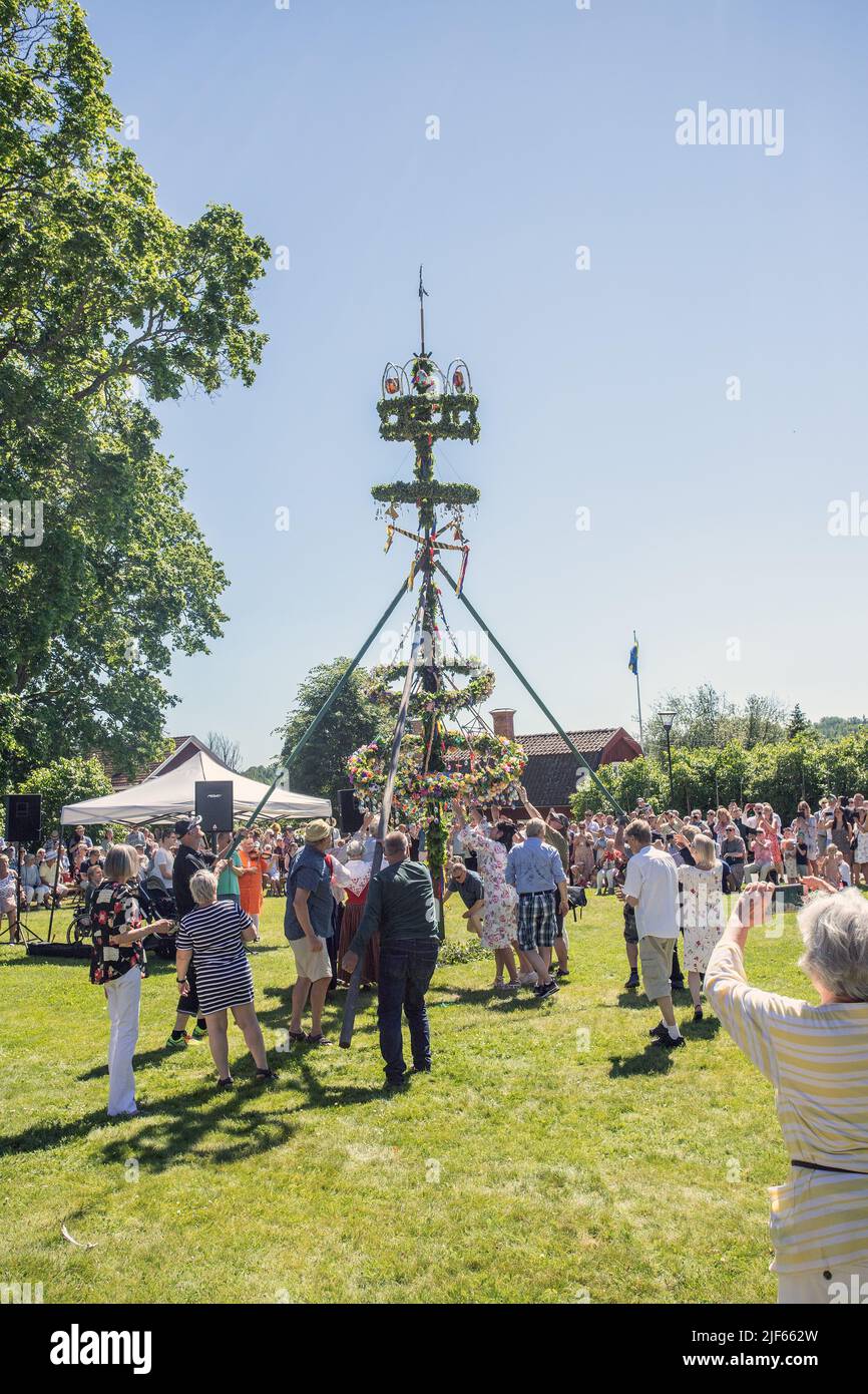 Un gruppo di persone erigendo il palo di metà estate alla festa pubblica di metà estate. Foto Stock