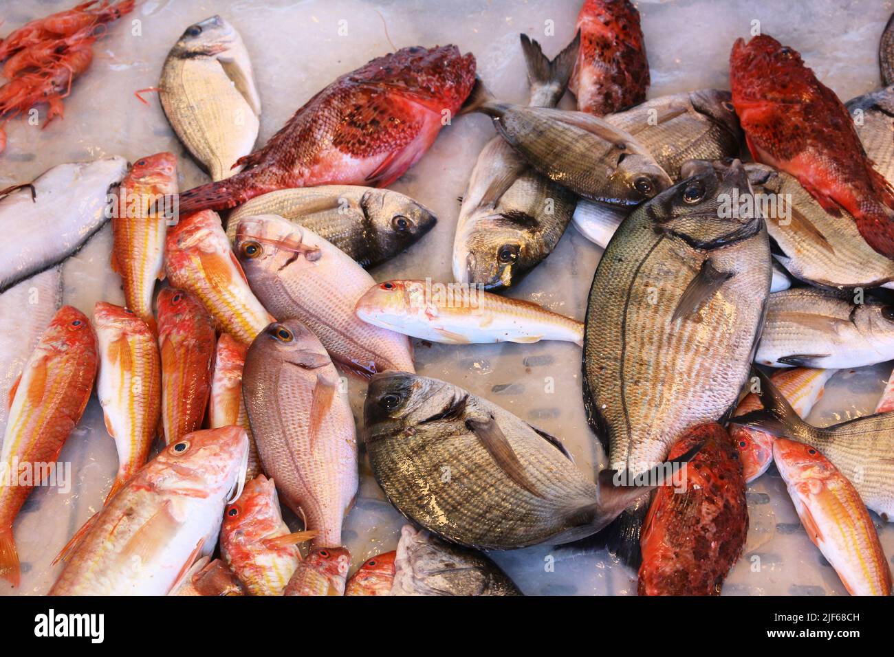 Italia cucina - mercato del pesce a Gallipoli. Orata di mare, scorpione e triglie rosse. Foto Stock