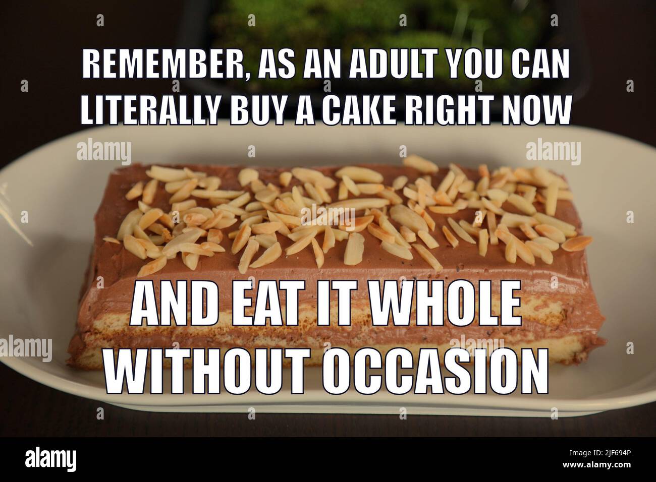 Cake divertente meme per la condivisione dei social media. Umorismo di essere adulti. Foto Stock