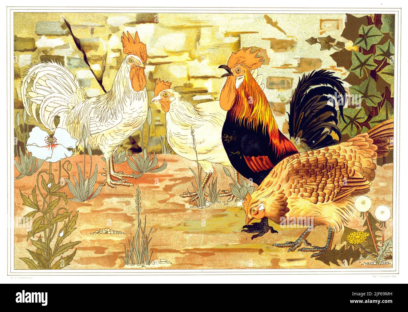 Maurice Pillard Verneuil - galline e scarafaggi - 1897 Foto Stock
