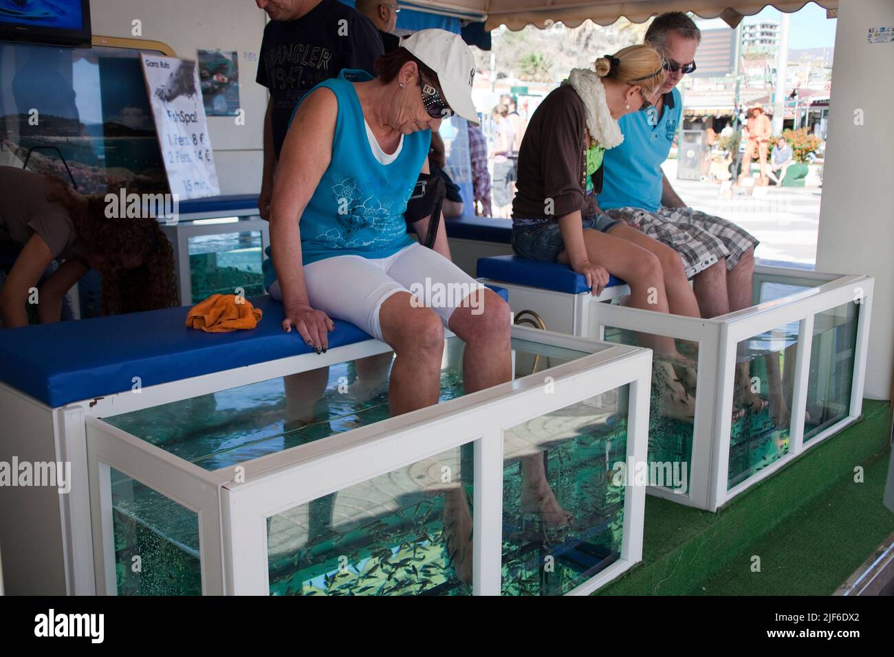 Turisti al medico di pesce, medico pesci (Garra rufa) pulizia piedi di turisti, passeggiata di Playa del Ingles, Grand Canarie, isole Canarie. Spagna Foto Stock