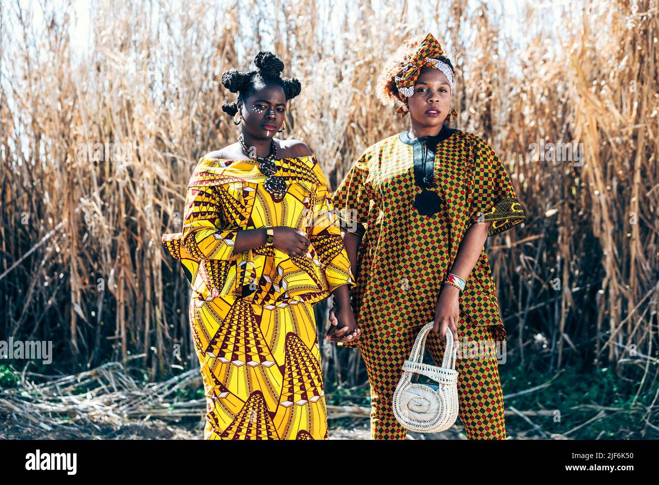Modelli femminili neri sicuri in abiti eleganti con stampe africane autentiche che guardano la macchina fotografica mentre si levano in piedi insieme contro l'erba asciutta nel conteggio Foto Stock