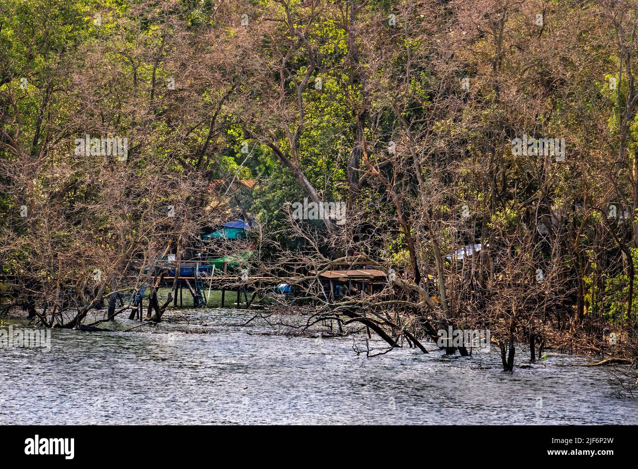 Seletar Fishing Village, l'ultimo villaggio di pescatori di Singapore, vicino alla diga di Yishun e lungo la riserva Seletar inferiore. Foto Stock