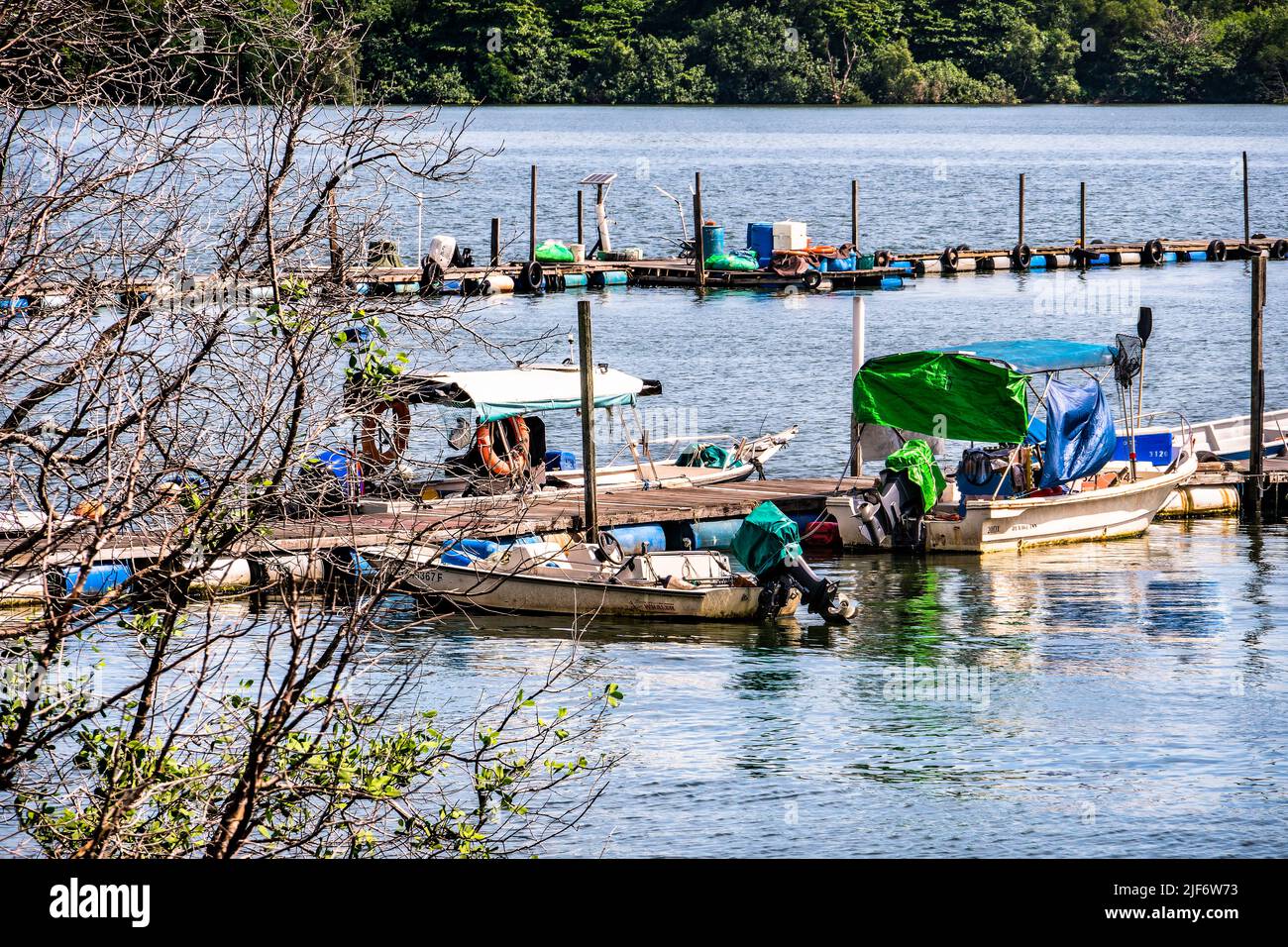 Jenal Jetty al villaggio di pescatori di Seletar. L'ultimo villaggio di pescatori di Singapore, vicino alla diga di Yishun e lungo il lago artificiale inferiore di Seletar. Foto Stock