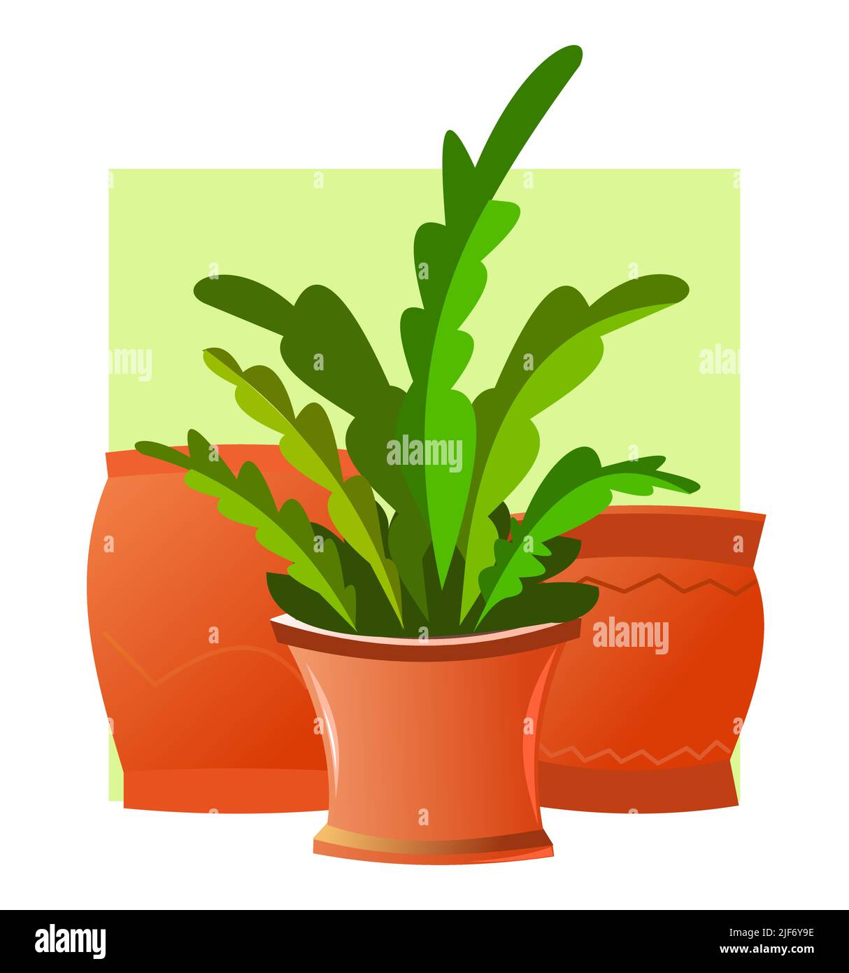 Piante e fiori interni. In pentole di ceramica. Belle erbe fatte in casa. Isolato su sfondo bianco. Vita morta. Stile divertente Cartoon. Vettore. Illustrazione Vettoriale