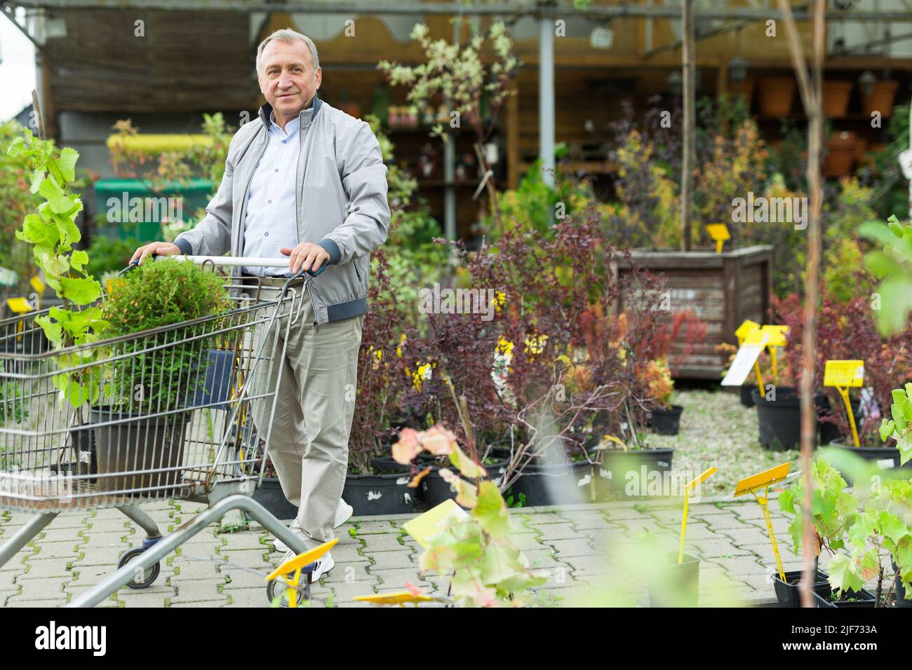 L'uomo caucasico sceglie germogli nel centro del giardino Foto Stock